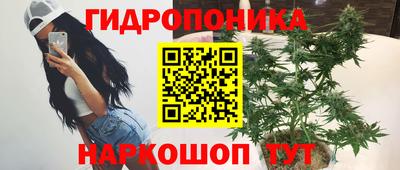 a pvp Татарск